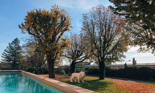 Fourvière Hôtel - photo 1