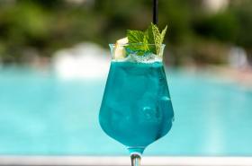 Hôtel Lyon Métropole - photo 8